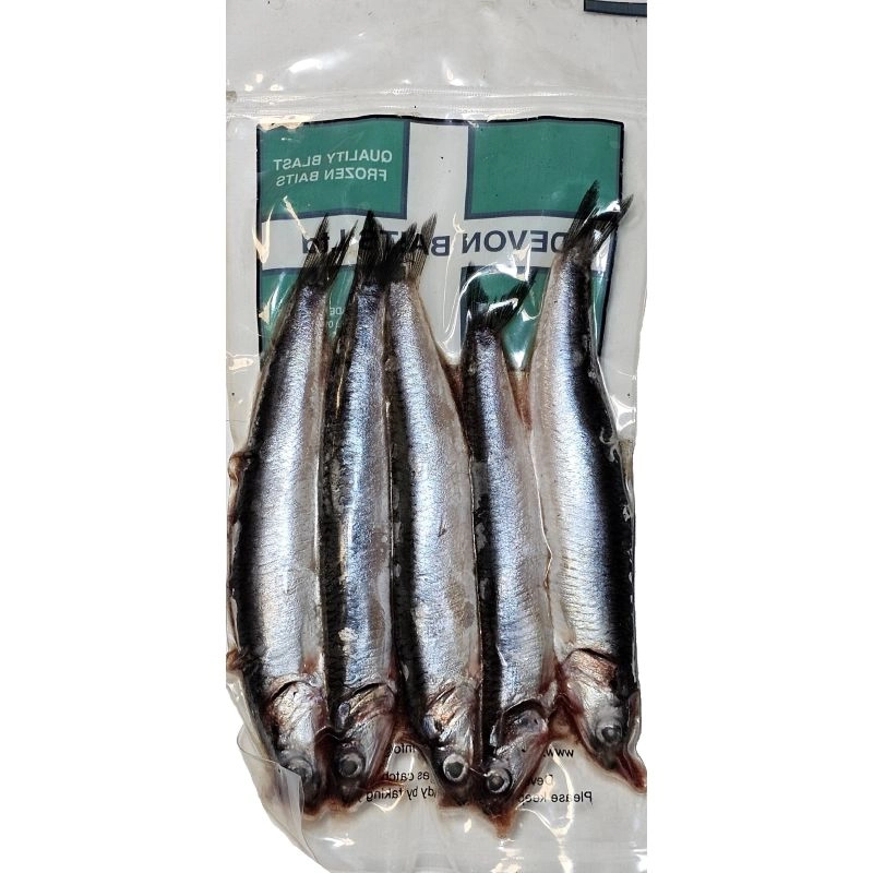 Devon Baits Frozen Anchovy